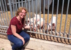 Foto: Tabea Rößner, MdB vor einer Schar neugieriger Jungschweine